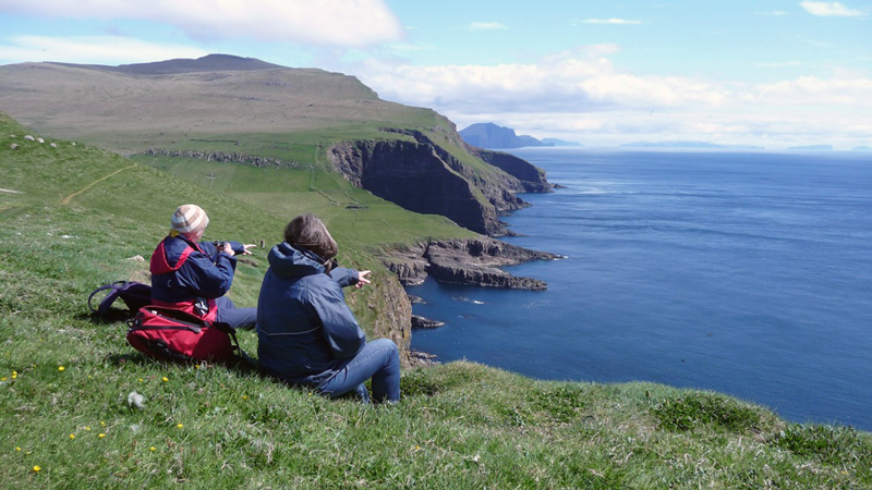 F�r�arnas p�rlor, 8 dagar