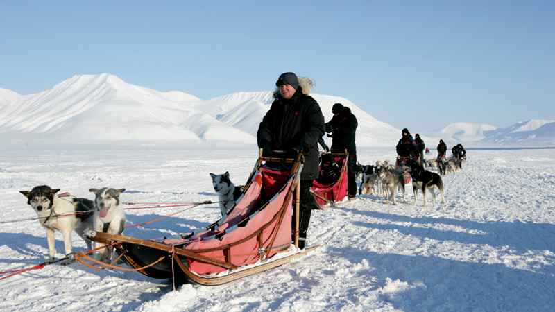 Hundspanns�ventyr p� Svalbard, 3 dagar (7000)
