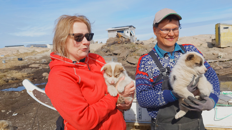 Ilulissat - Bes�k p� hundg�rd